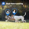 PetSafe Guardian GPS + Tracking Dog Fence Collar – Wireless Fence with Real-Time Location