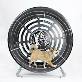 GoPet TreadWheel Small Dog Exercise Wheel
