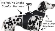 Affordable Mini GPS GSM Puppy Tracker – Waterproof XS
