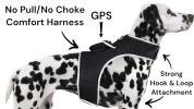Portable Mini GSM GPS Puppy Tracker – Collar Mounted, Waterproof (XL)