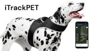 Pocket Waterproof Collar Mount GSM GPS Puppy Real Time Tracking Device Size S