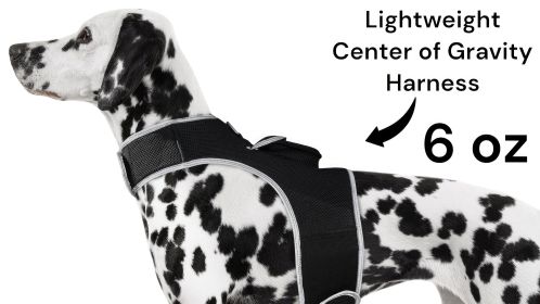 Affordable Dog GPS Tracking Device – Pocket Size, S