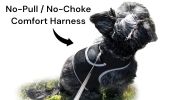 GSM GPS Rechargeable Dog Tracking Device Real Time Location Finder Size S