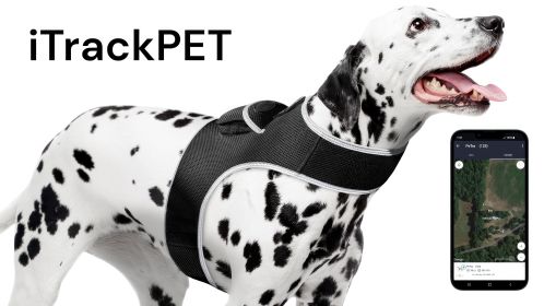Pocket GSM GPRS GPS Pet Tracking Tag Waterproof Security Surveillance Device Size M