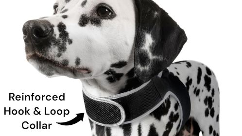 Durable Waterproof GSM GPRS Real Time Tracking Device for Pets Size L