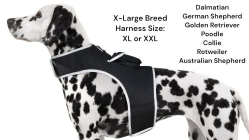 Real Time GPS Dog Tracking Collar Water Resilient Rechargeable Smart Device Size L
