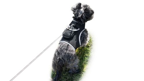 Easy Setup Waterproof GSM GPS Puppy Tracking Device USB Rechargeable Locator Size L