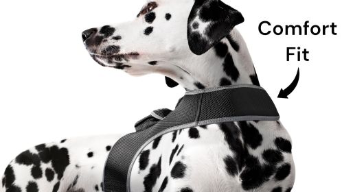 Mini GPS GSM Pet Tracker Anti Loss Animal Location Finder Gift Idea Size L