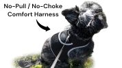Inexpensive Mini Waterproof GSM GPS Puppy Tracking Device Pet Locator Size L