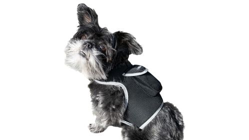 Mini GSM GPRS GPS Dog Tracking Device Waterproof Real Time Locator Size L
