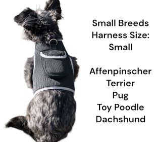 Wireless GPS Tracking Collar for Hunting Dogs Real Time Tracking Tool Size L