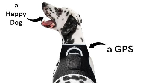 Real Time GPS Dog Tracker Waterproof Pet Security Locator Device Size L