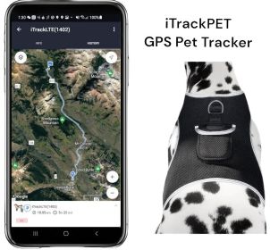 Ideal Mini GPS GSM Animal Tracking Device Real Time Wireless Pet Finder Size L