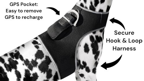 Mini Dog Tracking Collar Mount Device Rechargeable Battery Sturdy Exterior GPS Locator Size L
