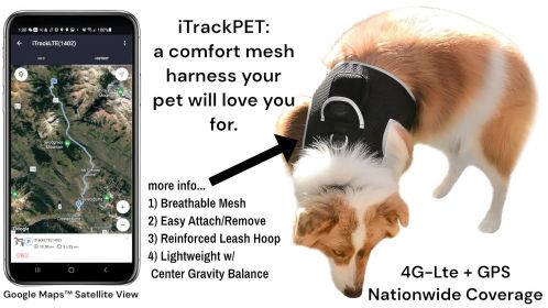 Mini Waterproof Real Time GPS Dog Tracking Device Portable Pet Finder Size L