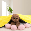 Pet dog cat bath towel soft coral fleece absorbent towel quick-drying bath towel convenient cleaning wipes pet supplies dropship