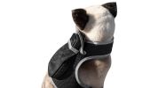 Rechargeable Mini Portable GSM GPS Dog Tracking Collar – Size S