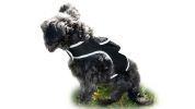 Android Phone Compatible Dog Tracking GPS Collar Mount Portable Device Size S