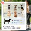 3-in-1 Pet Stroller with Detachable Carrier – Foldable Dog Stroller, Gray