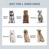 Elevated Dog Feeding Station with Storage and Dual Bowls for Large Breeds Coffee Finish