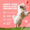Dog Flea and Tick Treatment Chews FleaTick Prevention for Dogs Chewables Natural Dog Flea & Tick Control Soft Treats Immune Support Supplement
