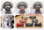 Adjustable Dog & Cat Neck Tie Collar (6–11 in)