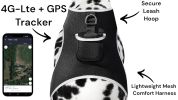 Pocket Waterproof Collar Mount GSM GPS Puppy Real Time Tracking Device Size S