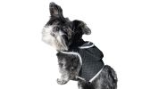 Mini GPS GSM Tracking Dog Collar Device Rechargeable Wireless Security System Size S