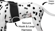 Rechargeable GSM Waterproof GPS Puppy Tracking Device Collar Mounted Size:M