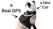 Portable Dog Tracking GPS GSM Locating Device with Geo-Fencing – XL