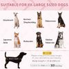 Elevated Dog Bed, Raised Dog Cot for XL Sized Dogs, Indoor & Outdoor, 48" x 36" x 9", Red