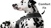 Wireless GPS Tracking Collar for Hunting Dogs Real Time Tracking Tool Size L