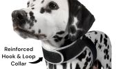 Broad Coverage GPS GSM Wireless Pet Tracking Collar for Hunting Dogs Size M