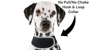 App Controlled GSM GPS Pet Tracking System Waterproof Cat Dog Locator Device Size M