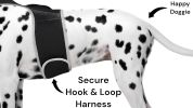 GPS Dog Locator with Boundary Fence – Realtime Pet Tracking (XXL)