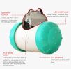 Slow Feeding Pet Toy – Puzzle Leakage Ball for Snacks