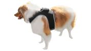 Rechargeable Universal Pet Tracking Device for Dog Collars – Size S