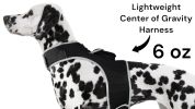 Mini GPS GSM Tracking Dog Collar Device Rechargeable Wireless Security System Size S