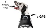 GSM GPS Rechargeable Dog Tracking Device Real Time Location Finder Size S