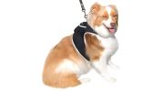 Waterproof Real Time GSM GPS Mini Pet Puppy Tracking Collar Device Size L