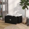 Pet Feeding Station Pet Dish Bowl Set with Storage, 2 Elevated Dog Bowls for Large Sized Dogs, White and Black