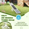 Wooden Dog Agility Seesaw for Training and Exercise, Weather Resistant, 83" L x 16" W x 14" H, White