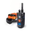 Dogtra 282C Compact Remote Trainer for 2 Dogs