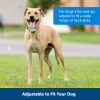 PetSafe Classic In-Ground Fence System