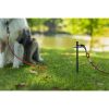 Prevue Pet Products 20 Foot Tie Out Stake