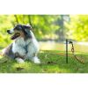 Prevue Pet Products 20 Foot Tie Out Stake