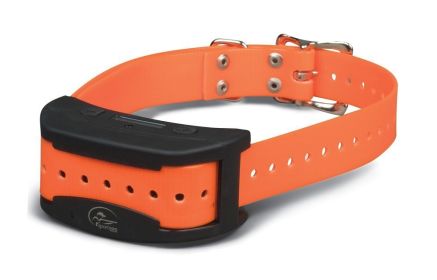 SportDOG Contain + Train Replacement Collar Receiver (SDF-CTR) (Option: CT AddADog Fence Collar)