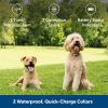 PetSafe Classic In-Ground Fence System