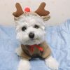 Warm Christmas Elk Hooded Dog Sweater – Drawstring Sweatshirt (Small & Medium)