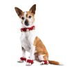 Christmas Dog Bell Decorative Set – Neck Fringe & Foot Bell Covers